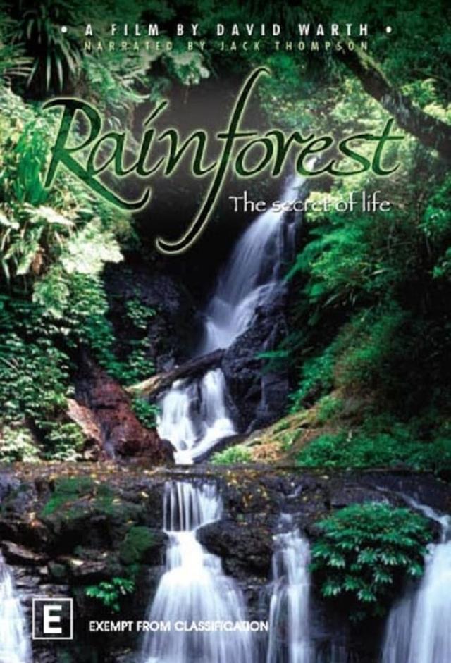 Rainforest: The Secret Of Life