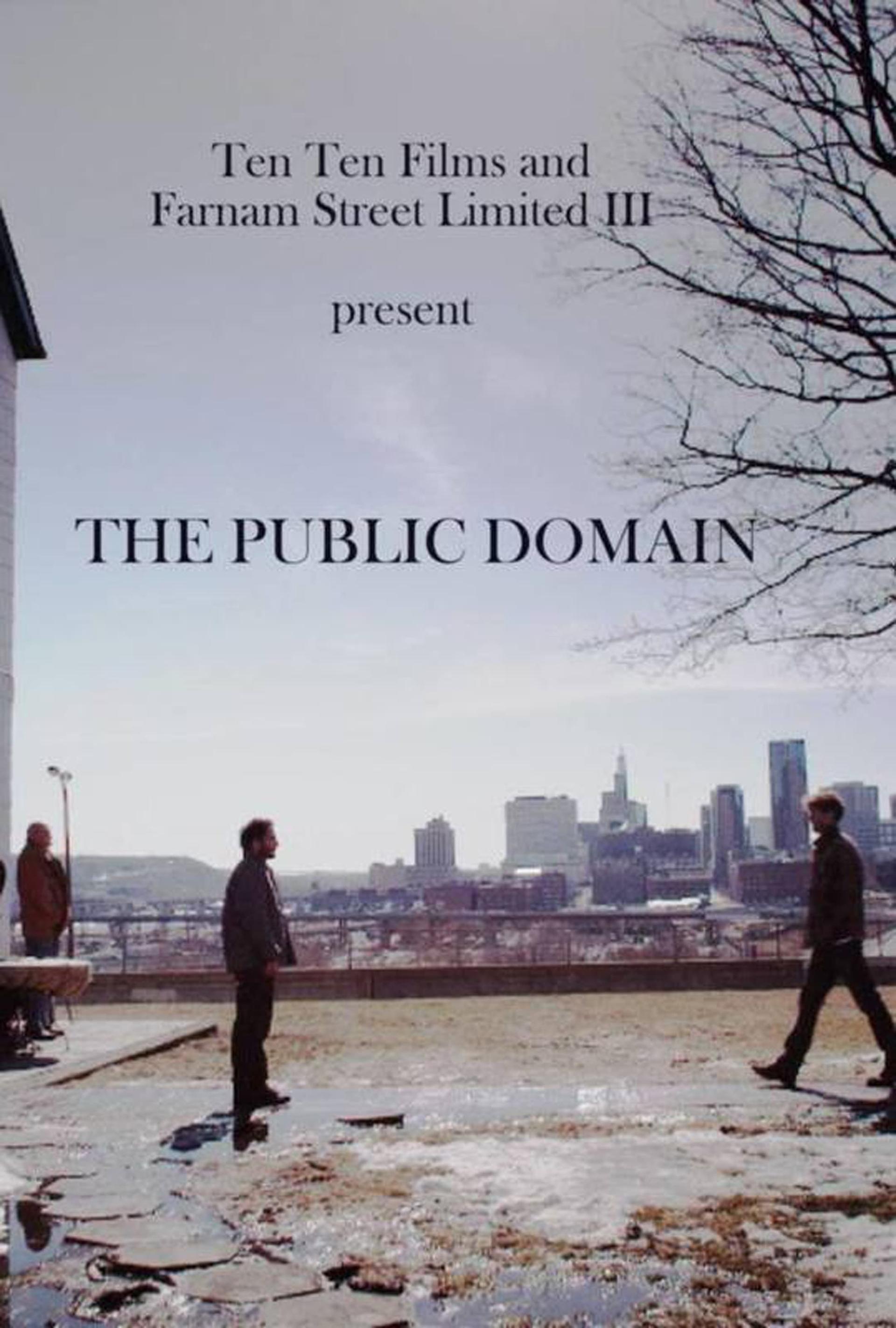 The Public Domain