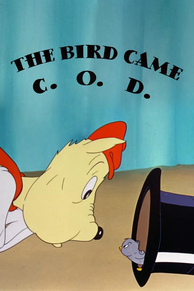 The Bird Came C.O.D.