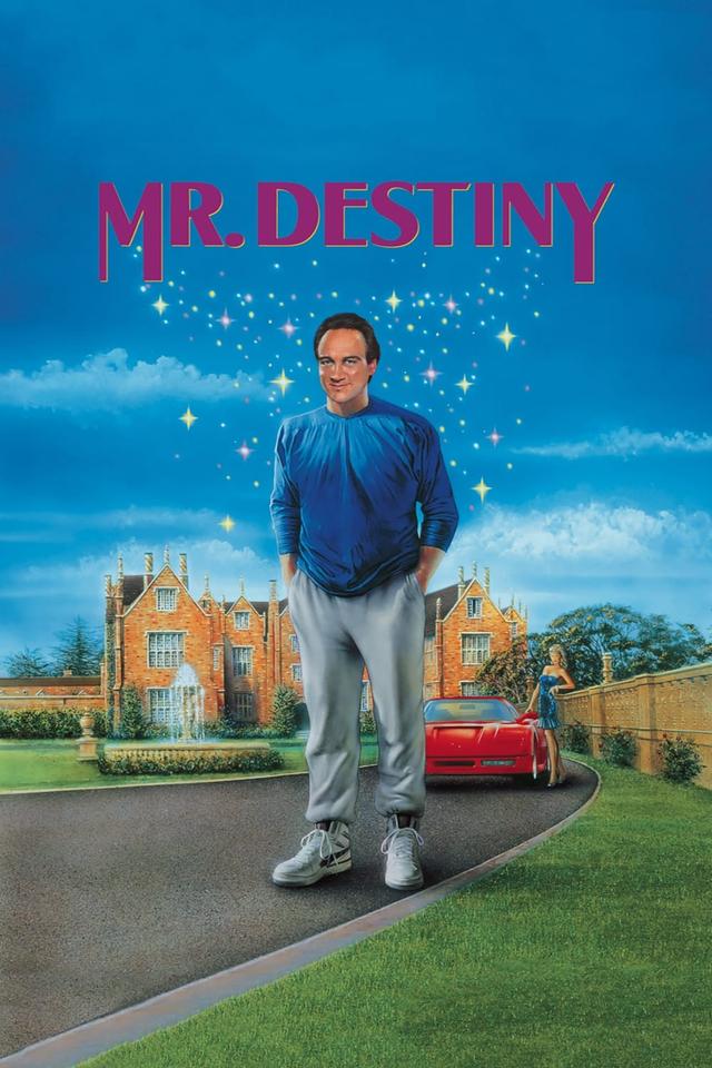 Mr. Destiny